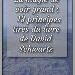 La-magie-de-voir-grand-13-principes-tirés-du-livre-de-David-Schwartz